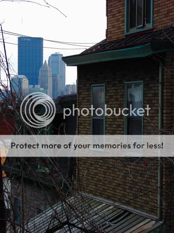 Pittsburgh neighborhood tours: Spring Garden - SkyscraperCity